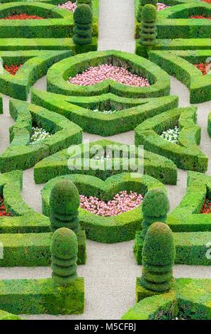 Im Vordergrund der Garten des Schlosses von Villandry, Loire Tal, Frankreich Stockfoto