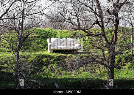 Eine verlassene alte Schale von einer verfallenden Sofa ist in einigen Wäldern gesehen Stockfoto