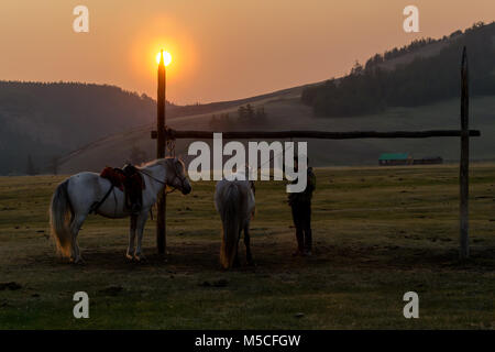 Pferde in der Dämmerung, Tsaaganuur, Mongolei Stockfoto