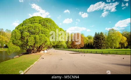 Botanischer Garten in VDNH, Moskau, Russland Stockfoto