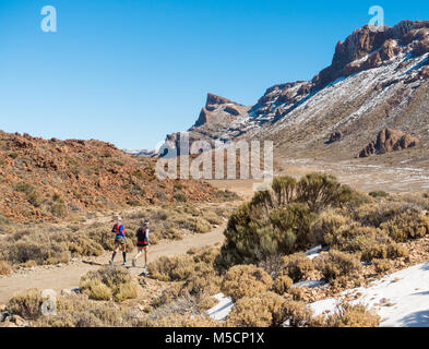 Parque Nacional del Teide, Teneriffa, Kanarische Inseln, Spanien Stockfoto