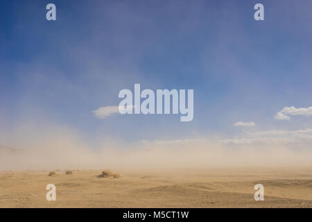 Große Sandwüste in der Dürre Klima durch einen windigen Sandsturm abgedeckt. Stockfoto