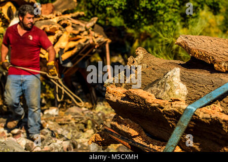 Cork Arbeiter, die Hirnrinde der Korken. Nachdem wir können es verwenden, um aus Kork Armaturen, Pinnwände, zum Beispiel. Stockfoto