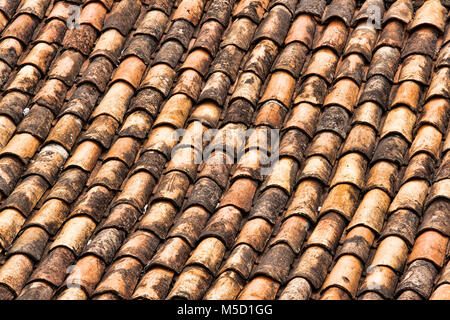 Muster der Terrakotta Schindeln auf einem Dach in Brasilien Stockfoto