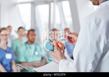 Chirurg führende Konferenz Stockfoto