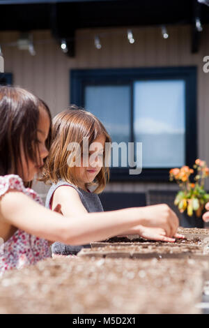 Mädchen das Einpflanzen von Pflanzgut auf sonnigen Terrasse Stockfoto