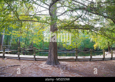 Hornsby Springs im Camp in der Nähe von Kulaqua High Springs, Florida. Stockfoto