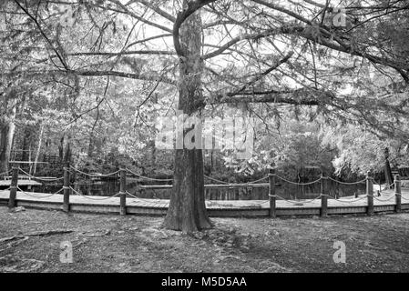 Hornsby Springs im Camp in der Nähe von Kulaqua High Springs, Florida. Stockfoto