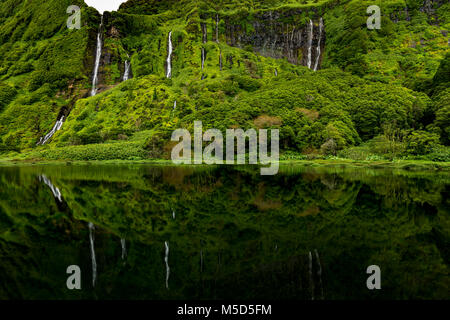 Wasserfälle mit See Poço Ribeira do Ferreiro in grüne Landschaft, Poco da Alagoinha, Fajãzinha, Flores Island, Azoren Stockfoto