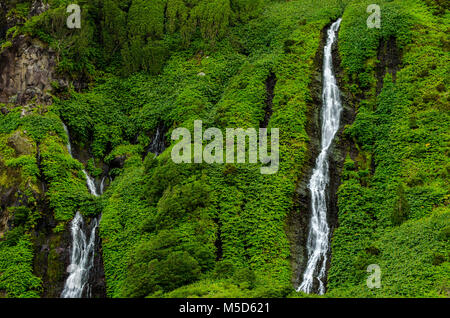 Wasserfall Poço Ribeira do Ferreiro in grüne Landschaft, Poco da Alagoinha, Fajãzinha, Flores, Azoren, Portugal Stockfoto