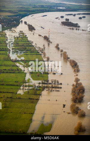 Hochwasser am Rhein, in der Nähe von Duisburg, Ruhrgebiet, Nordrhein-Westfalen, Deutschland Stockfoto