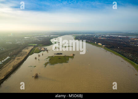 Hochwasser am Rhein, in der Nähe von Duisburg, Ruhrgebiet, Nordrhein-Westfalen, Deutschland Stockfoto