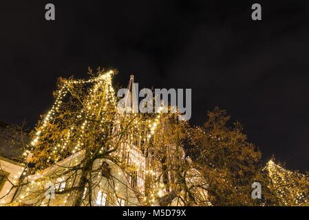 Weihnachtsbeleuchtung in der Kathedrale in Regensburg, Deutschland Stockfoto