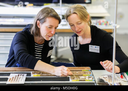 22. Februar 2018, Deutschland, Bremen: Die Wissenschaftler Lisa McNeill (L) aus Großbritannien und Donna Shillington aus den USA sitzen in einem Labor der (MARUM Zentrum für marine Umweltwissenschaften), Analyse ein Segment auf einem Bohrkern. Wissenschaftler aus elf Ländern forschen auf Proben von Boden des Ozeans, einer der am meisten seismischen Gebieten innerhalb Europas, den Golf von Korinth in Bremen. Die Proben wurden während einer dreimonatigen Expedition auf einem Schiff mit speziellen Übungen, aus einer Tiefe von 700 m an den meisten genommen extrahiert. Foto: mohssen Assanimoghaddam/dpa Stockfoto