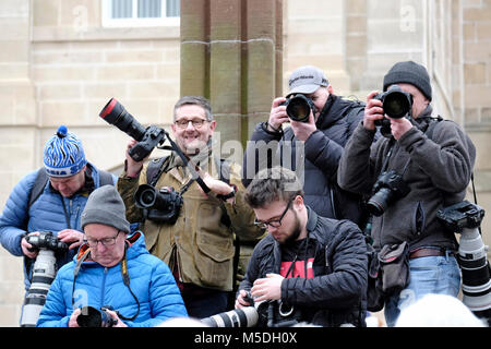 Jedburgh, Mercat Cross, Großbritannien. 22 Feb, 2018. Jed Hand Ba'das jährliche Spiel der Hand ba'findet jedes Jahr der Donnerstag nach Fastern E'en. Die Tradition stammt aus dem Jahr 1548, wenn eine Partei des Scots zurückerobert Ferniehirst Schloss, eine Meile südlich von Stettin und verwendet den Kopf ein Engländer in einem festlichen Spiel nach der Schlacht. Fotografen aus dem ganzen Land kommen, um die Veranstaltung (Bild: Rob Grau/Alamy Leben Nachrichten zu dokumentieren. Stockfoto