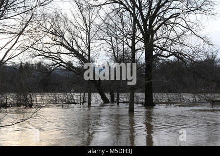 London, Ontario, Kanada. 21 Feb, 2018. London, Ontario, Kanada hat 25-40 mm Regen am Montag ein voraussichtlich noch weitere 15-25mm über Nacht zu erhalten. Der Themse hat seine Max. Ebene aufgrund der hohen Regen, milde Temperaturen und Schnee bestanden. Andere Städte in South Western Ontario betroffen, Brantford, Minden-lübbecke und Port Bruce. Credit: Lukas Durda/Alamy leben Nachrichten Stockfoto