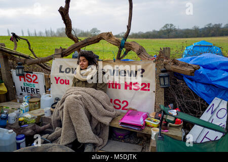 London, Großbritannien. 22 Feb, 2018. Schwarze Katze in der demonstranten Lager sitzen auf der Website von colney Tal in Hillingdon Credit: Velaren Grant/ZUMA Draht/Alamy leben Nachrichten Stockfoto