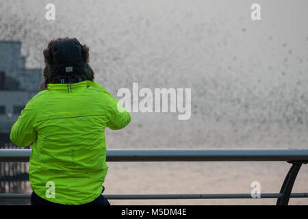 Blackpool, Lancashire, UK, 22. Februar 2018. UK Wetter news. Ein kalter Abend in Blackpool, als eine große Zahl von Staren Tanz den Tag ein magischer Anblick, als die "urmuration' in der Dämmerung weiter. copyright Gary Telford/Alamy leben Nachrichten Stockfoto