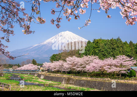 Mt. Fuji gesehen aus ländlichen Präfektur Shizuoka im Frühjahr Saison. Stockfoto