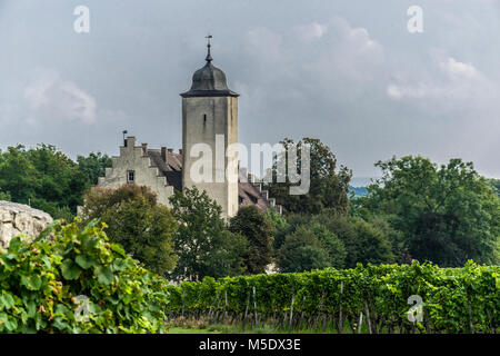 Die Halle Burg inmitten der weininsel zwischen Volkach und Sommerach mit rustikaler Gastronomie Stockfoto