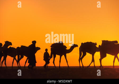 Niger. Agadez. Sahara. Sahel. Ténéré Wüste. Tuareg Stamm. Nomaden. Traditionelle Salz Caravan von Agadez zu den Oasen Fachi und Bilma. Unesco, W Stockfoto