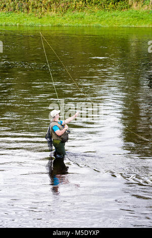 Die Fischerei auf Lachs, der Kreuzung Pool, wo der Fluss Teviot den Fluss Tweed erfüllt und Kelso in den schottischen Borders. Stockfoto