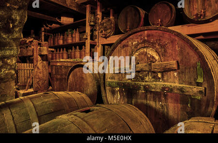 Wein Fässer und Behälter im alten Keller Stockfoto