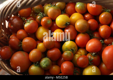 Farbe, bunt, Markt, Grün, Tomaten, Korb, Sommer, Rot, Gelb, Textur, rohe, natürliche, Zutaten, Gemüse, Natur, vegetarische Gerichte, frische Stockfoto