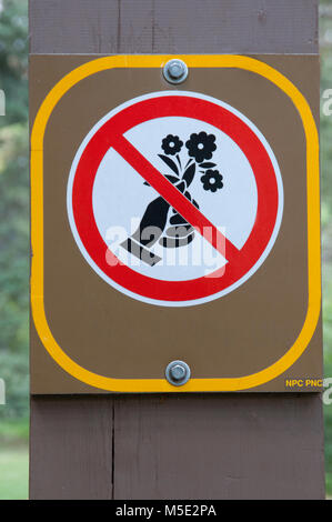 Anmelden Banff Kanada pflücken Sie nicht die Blumen Stockfoto