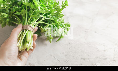 Frau Hand ein Bündel von organischen Petersilie auf grauem Beton Stein Hintergrund Stockfoto