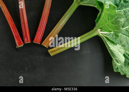 Frische organische Rhabarber Stengel mit Blättern, die auf dem Schwarzen Brett Holz- Hintergrund Stockfoto