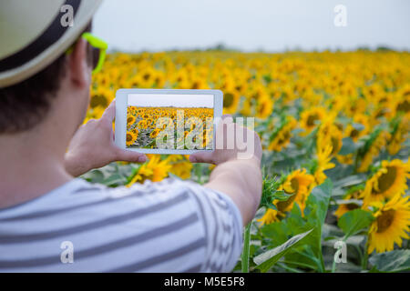 Ansicht der Rückseite des jungen modernen Menschen unter Foto Sonnenblumenfeld durch die Verwendung von digitalen tablet device Stockfoto
