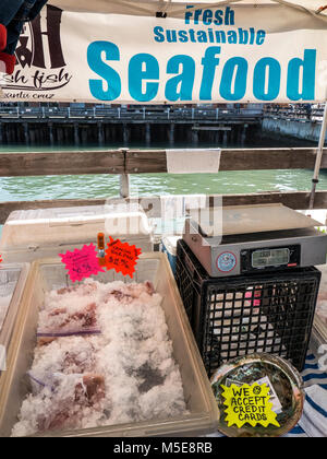 Frische SUSTAINABLE SEAFOOD Küsten Bauernmarkt mit frischen lokalen nachhaltigen Fisch Ferry Building Embarcadero, San Francisco Kalifornien USA Abschaltdruck Stockfoto