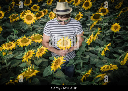 Portrait des modernen Kerl in Sonnenblumen Feld und halten Blume Stockfoto