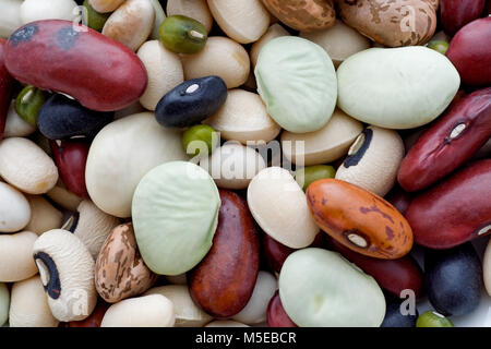 Close-up ungekochten bean Mix Stockfoto