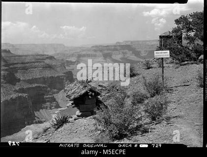 Grand Canyon fossilen Ausstellung FOSSIL FERN AUSSTELLUNG MIT JUNIPER RINDE DACH (fossile Pflanzen STEINBRUCH) auf Cedar Ridge in der Nähe von South Kaibab Trail. 13. September 1937 Stockfoto