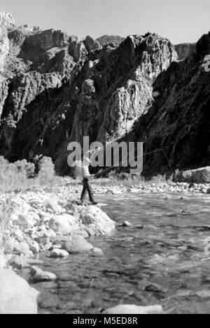 Grand Canyon Historischen - Angeln auf Bright Angel Creek Blick nach Süden entlang der Bright Angel Creek. Fliegenfischer arbeiten Creek. (Hochformat) ca. 1940. . Stockfoto