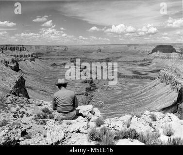 Grand Canyon Biber Canyon südlichen Teil, Grand Canyon National Monument, VOM KOPF DER BIBER CANYON SUCHEN DIREKT AM BERG SINYALA. CHIEF RANGER STRICKLIN IM VORDERGRUND. CIRCA 1954. . Stockfoto