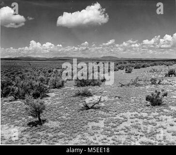 Grand Canyon Canyon südlichen Teil, Grand Canyon National Monument, mit typischen RANGELAND AUF DER SUCHE NACH WESTEN RICHTUNG TRUMBULL BERGE. Von der in der Nähe der südlichen Grenze. CIRCA 1954. . Stockfoto