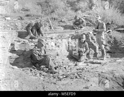 Grand Canyon fossilen Ausstellung CCC EINGETRAGENEN DAS FOSSIL FERN AUSSTELLUNG STEINBRUCH AUF DEM S KAIBAB TRAIL AUSZUGRABEN. CIRCA 1935. . Stockfoto