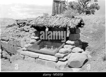 Eine Grand Canyon Fossil Fern Ausstellung VORDERANSICHT: EINSIEDLER SCHIEFER FOSSIL FERN Ausstellung mit originalen STROHDACH IM CEDAR RIDGE AUF DEM S KAIBAB TRAIL. 13. Sep 1937. . Stockfoto