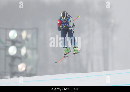 Pyeongchang, Südkorea. 23 Feb, 2018. Reina Umehara (JPN) Freestyle: Frauen Ski Cross 1/8 Finale bei Phoenix Snow Park während der PyeongChang 2018 Olympic Winter Games in Pyeongchang, Südkorea. Credit: YUTAKA/LBA SPORT/Alamy leben Nachrichten Stockfoto