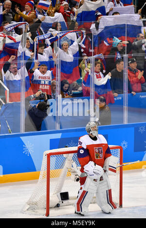 Seoul, Korea, Republik. 23 Feb, 2018. Tschechische goalie Pavel Francouz in Aktion während der Tschechischen Republik gegen Rußland Eishockey semi final Match innerhalb der 2018 Winter Olympics in Tainan, Südkorea, 23. Februar 2018. Quelle: Michal Kamaryt/CTK Photo/Alamy leben Nachrichten Stockfoto