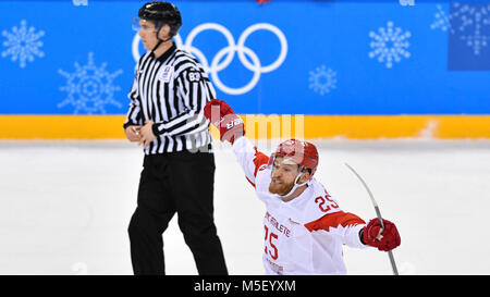 Seoul, Korea, Republik. 23 Feb, 2018. Michail GRIGORENKO von Russland feiert eine 3. Ziel der Tschechischen Republik gegen Rußland Eishockey semi final Match innerhalb der 2018 Winter Olympics in Tainan, Südkorea, 23. Februar 2018. Quelle: Michal Kamaryt/CTK Photo/Alamy leben Nachrichten Stockfoto