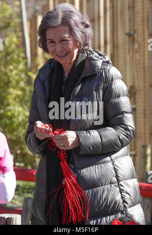 Spanisch Emeritus Königin Sofia de Grecia während handeln Renovierung für die Erhaltung der Panda in ZooMadrid am Freitag, dem 23. Februar 2018 Credit: Gtres Información más Comuniación auf Linie, S.L./Alamy leben Nachrichten Stockfoto
