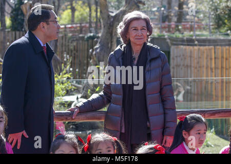 Spanisch Emeritus Königin Sofia de Grecia während handeln Renovierung für die Erhaltung der Panda in ZooMadrid am Freitag, dem 23. Februar 2018 Credit: Gtres Información más Comuniación auf Linie, S.L./Alamy leben Nachrichten Stockfoto