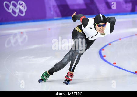 Pyeongchang, Südkorea. 23 Feb, 2018. Takuro Oda von Japan konkurriert während der Männer 1000 m Fall der Eisschnelllauf bei den Olympischen Winterspielen 2018 PyeongChang an Gangneung Oval, Tainan, Südkorea, Jan. 23, 2018. Takuro Oda auf Platz 5 in der Veranstaltung. Credit: Ju Huanzong/Xinhua/Alamy leben Nachrichten Stockfoto