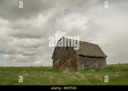 Alberta, Kanada. Alte verlassene Scheune auf den Wiesen an einem bewölkten Frühling. Stockfoto