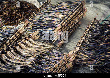 Getrocknete Sardellen zum Verkauf auf dem Markt in Indonesien. Getrocknete Sardellen haben zwischen zwei schlanke Sticks einfach für den Transport der Meeresfrüchte gebunden worden Stockfoto