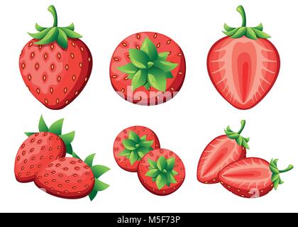 Erdbeere und Scheiben von Erdbeeren. Vector Illustration von Erdbeeren. Vector Illustration für dekorative Poster, Emblem Naturprodukt, Landwirte m Stock Vektor